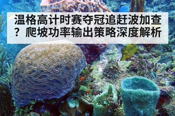 温格高计时赛夺冠追赶波加查?爬坡功率输出策略深度解析